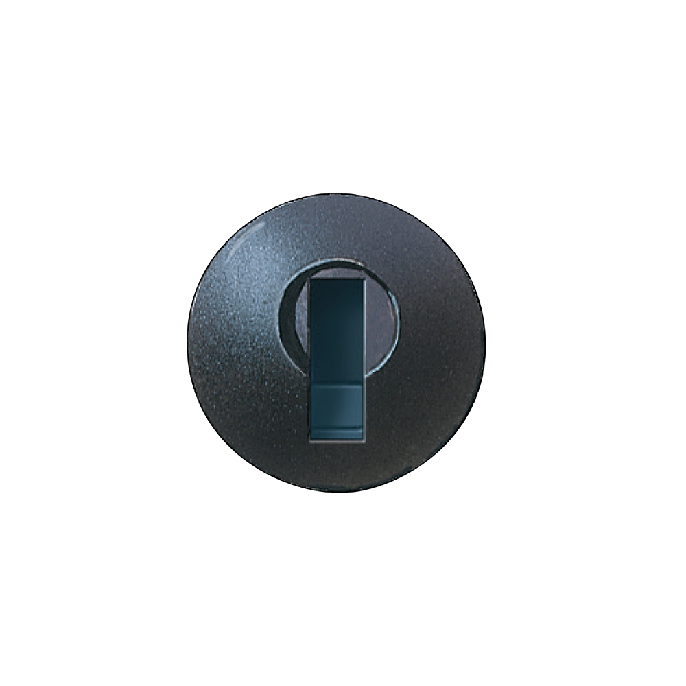Lock plug – C300LP-19