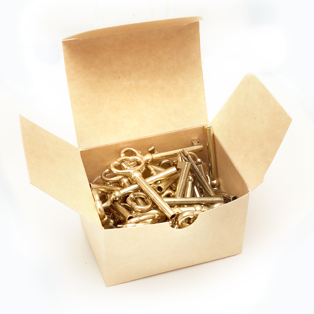 Warded barrel key – D8890